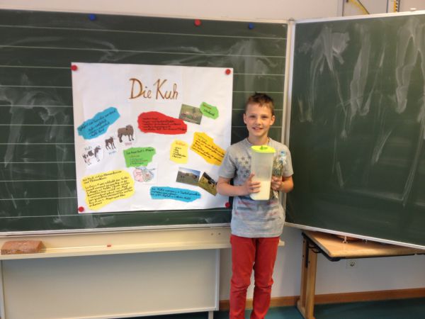 Projekt Haustiere 3 Klasse