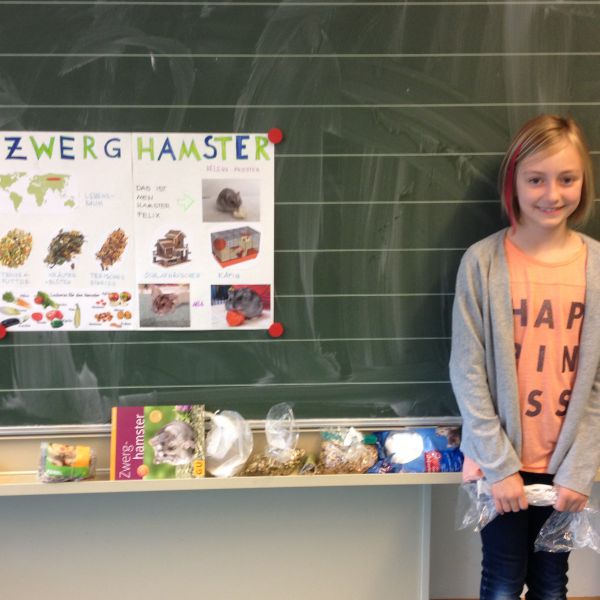 Projekt Haustiere 3 Klasse