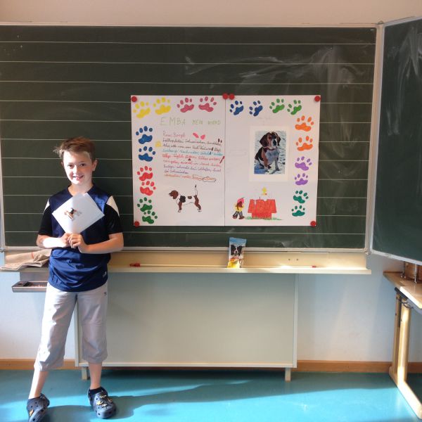 Projekt Haustiere 3 Klasse